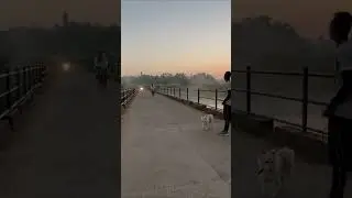 Good morning 🌄 Local Village 🌻 Morning scene 🌄#subscribe #morning #trending #shorts