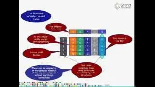 Alignment of raw reads in Avadis NGS