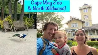 Cape May Zoo & North Wildwood! | Summer 2020 Day 2