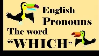 The word "Which" English Pronouns Chapter 3