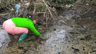 Girl Catching Fish in Muddy Pond - Girl's Amazing Fishing Skills