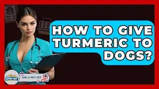 How To Give Turmeric To Dogs? - Ask A Pet Vet