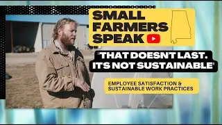 Kyle - Employee Satisfaction & Sustainable Work Culture