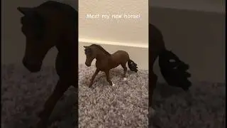 Meet my new horse, full video about him will be up soon! #horses #schleich￼