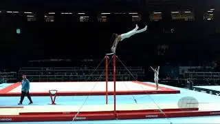 VERMA Siddharth (IND) - 2017 Artistic Worlds, Montr&eacute;al (CAN) - Qualifications Horizontal Bar
