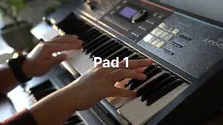 Take My Breath Away - Keyboard cover on the Juno DS