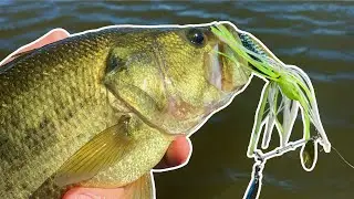 Googan Squad Zinger Slays Fall Louisiana Bass!