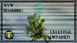 Gw2 WvW Roaming : Celestial Untamed ❗