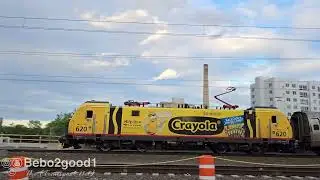Amtrak NE Regional 168 with Crayola Yellow # 620 + Train 165 (635)  (Morris Park, The Bronx, NY)