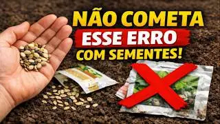 JANEIRO: Os 5 Erros Fatais com Sementes que Impedem sua Colheita (Evite-os Assim!)