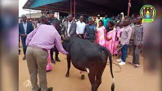 Akarere ka Kamonyi 2017 2024 NST1 Summary