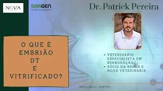 Embri&atilde;o DT e Vitrificado, o que s&atilde;o ?