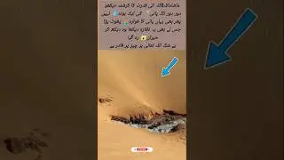 Miracle of Allah&rsquo;s Creation in the Desert 🌊✨ | Amazing Water Fountain in Dry Land #shorts #love