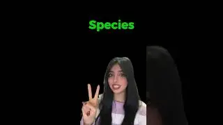 Learn plurals 6  #english  #learnenglish  #englishlearning  #englishshorts