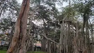 #karnataka #tourism #weekend #onedaytrip #bangalore 