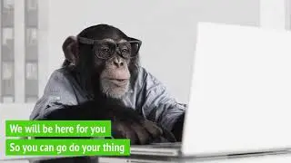 When you don't have time for monkey business!! PRB