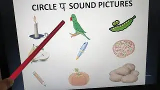 VIDEO - CIRCLE P SOUND PICTURES