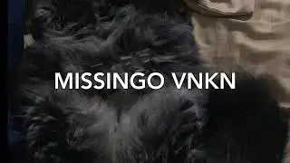 Broken Clingy - MISSINGO VNKN (davidsanya beats)