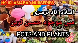 Plants Nurseries H9 Islamabad|Imported indoor plants and pots|Patoki nursery visit!