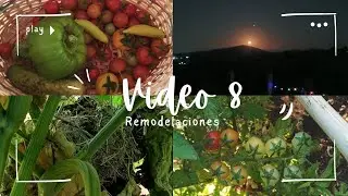 Transformamos el huerto en un espacio para los ni&ntilde;os | Cosecha + avance del gallinero