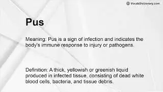 Pus Meaning