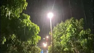 Mystic Forest Rain: Relaxing Rain Sound for Deep Sleep & Meditation to Clear Negative Energy