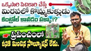#Complete cure for #Kommakulludu.|| #There is no better solution in the world.|| @CELEBRATEFARMING