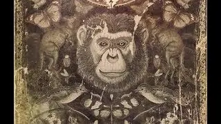Remarkable Creatures (HSCT #66)