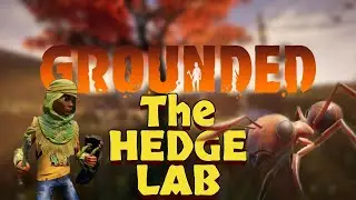 Completing the Hedge Lab | Grounded (Part 2)