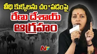 500 కుక్కలను చంపి వాటి ముందు ఫోటో దిగుతారా..? | Renu Desai Fires on Killing stray Dogs | NTV Telugu