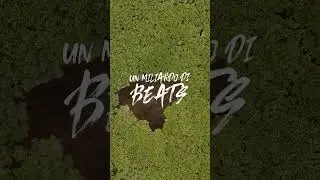 Faccio un #beat #boombap con #MPC nella foresta #akai #mpc #mpcbeats #outdoors #nature #boombap