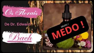 Voc&ecirc; Precisa Saber Disso: Como os #floraisdebach  Podem Ajudar a #superar  os #medos.