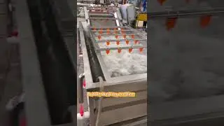 3 meter vegetable washer, vegetables bubble Washing machine #vegetables #machine