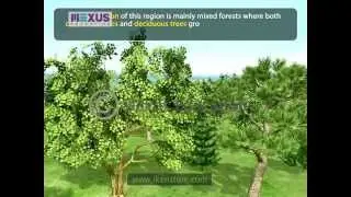 North America- Climate, Vegetation and Wildlife - Part 2