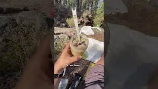 This isn&rsquo;t the Appalachian trail or the Pacific crest trail&hellip; it&rsquo;s just Gr 131 trail in Tenerife