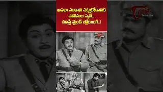 పోలీసుల స్కెచ్ చూస్తే మైండ్ బ్లోయింగ్..Krishna, Dhulipala Superhit #Shorts Youtubeshorts #teluguOnbe