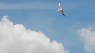 EzFly trainer - windy