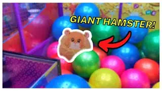 Can We Win This GIANT Hamster at The Claw Machine?