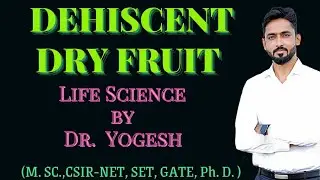 Dehiscent Dry Fruit | Flowering Plants | Explained by Dr. Yogesh