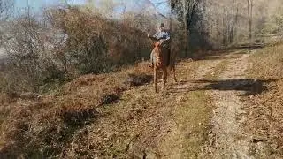 Dai Pratoni del Vivaro  al monte Artemisio