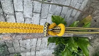 The World Most Popular Knots