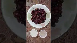 Falsey Ka Sharbat | Falsa Juice Recipe | #Shorts