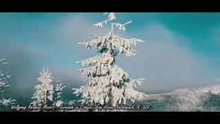 A Frosty Fantasy: Classical Music and Stunning Winter Scenes