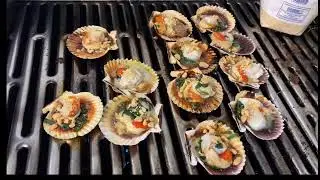 Coquille Saint Jacques grill&eacute;e | Recette de Coquille Saint Jacques | Cathy Gerardo