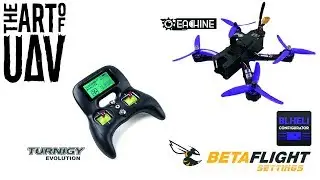 Turnigy Evolution Controller - Configuration, Betaflight & BLHeli Settings For Eachine Wizard X220