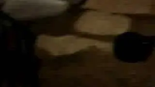 Kitty jaguar