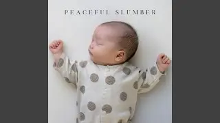 Midnight Sleep