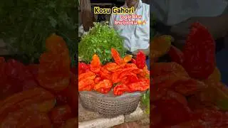Kosu Gahori Logot Akw bhutjolokia😋😋🔥🔥 #ytshort #pork #recipe #food #explore #foodie #assam