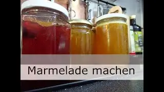 Marmelade machen - Kriachal, Mirabelle, Wilde Pflaume