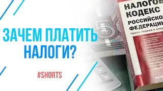 Налоги во благо? Зачем платить налоги? #shorts